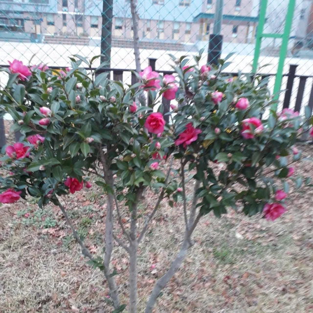 이순희