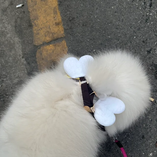 이브자리