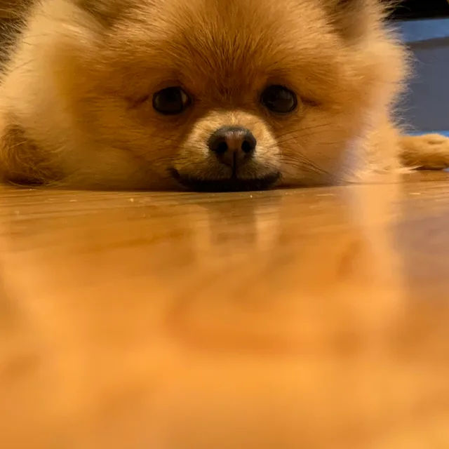 설뫼
