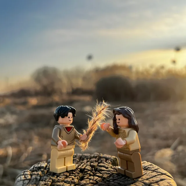 포바