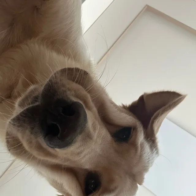 근당근당