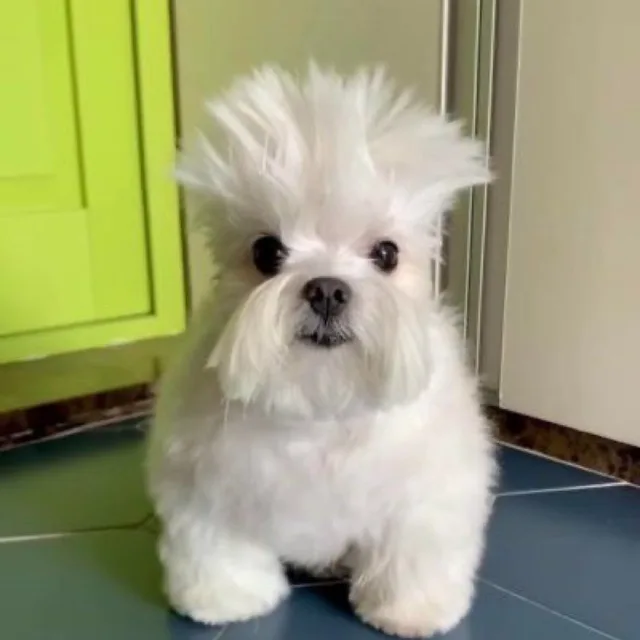 판매왕