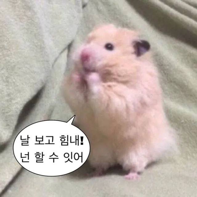 현직번역가