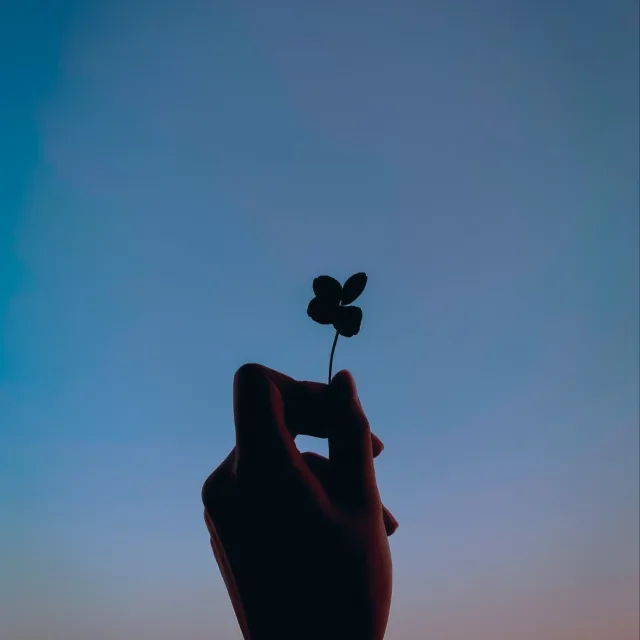 럭셔리퍼니당근