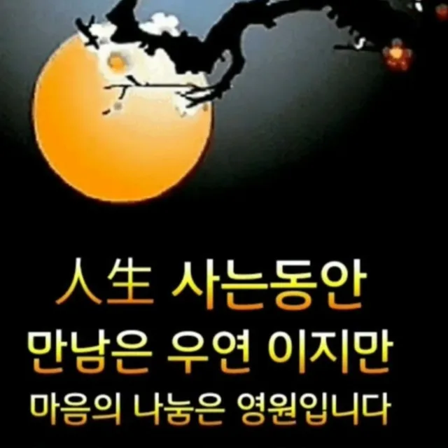거북이