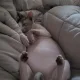 우방