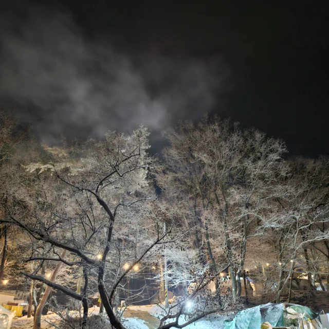 고메