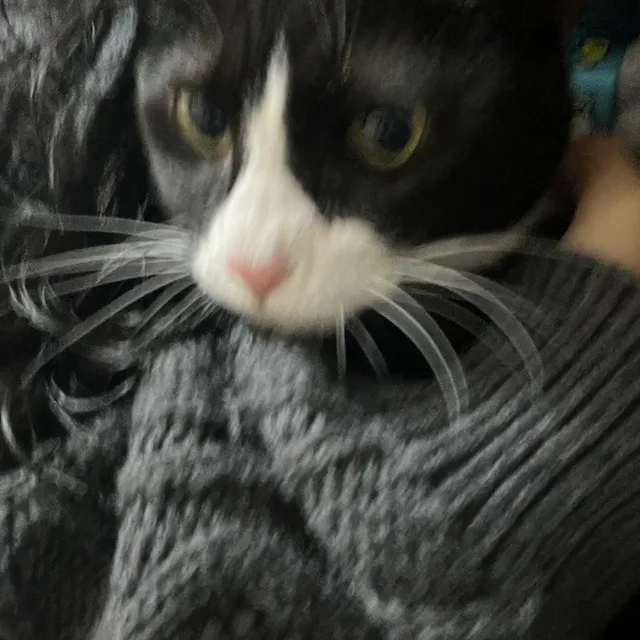 츄맴