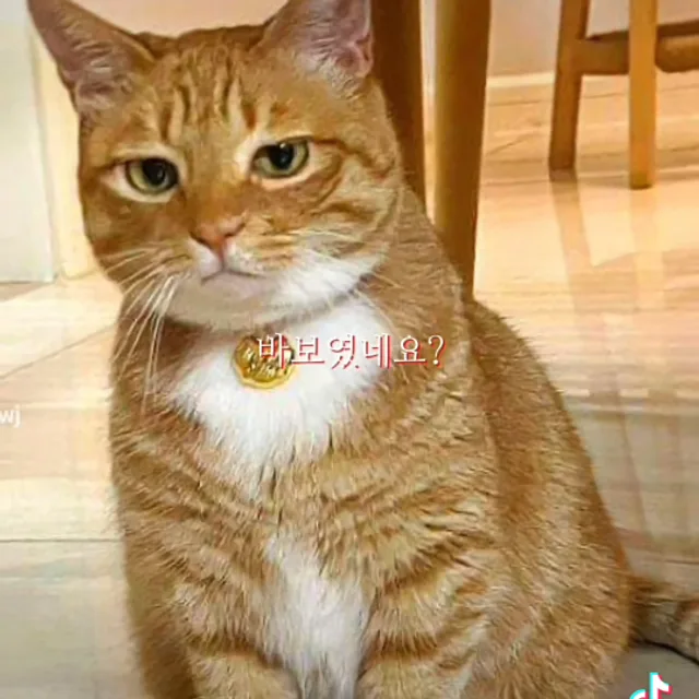 당근이요