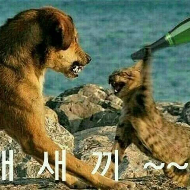 문막퀵배달