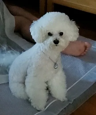 웅이아빠