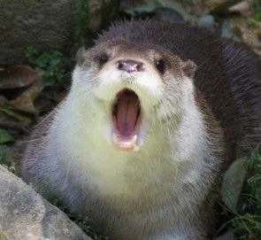 이장님