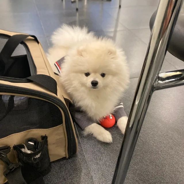 인생당근