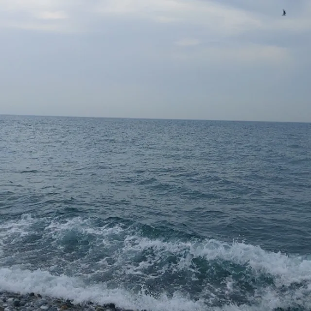 Bluesky