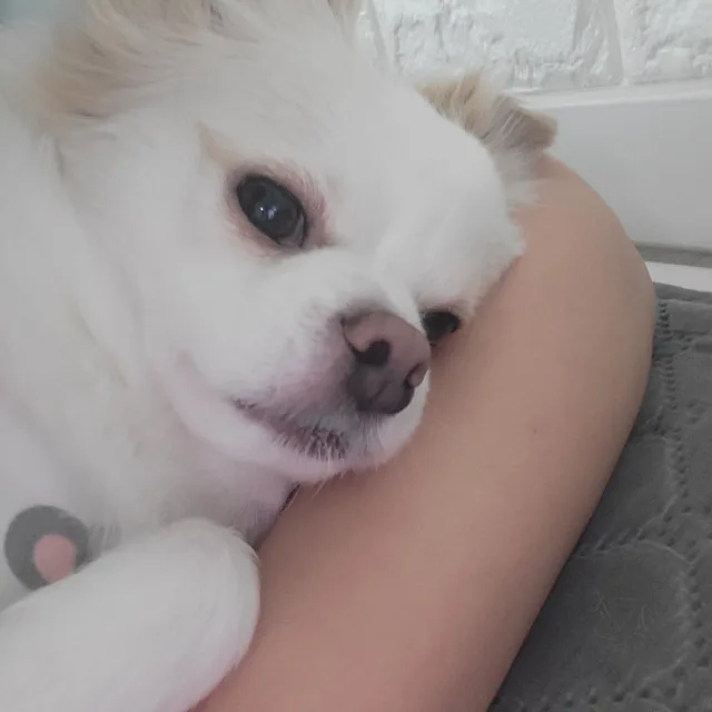 용찌아빠