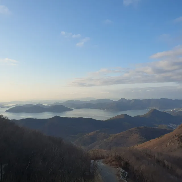 당근의행복
