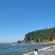 핼리혜성