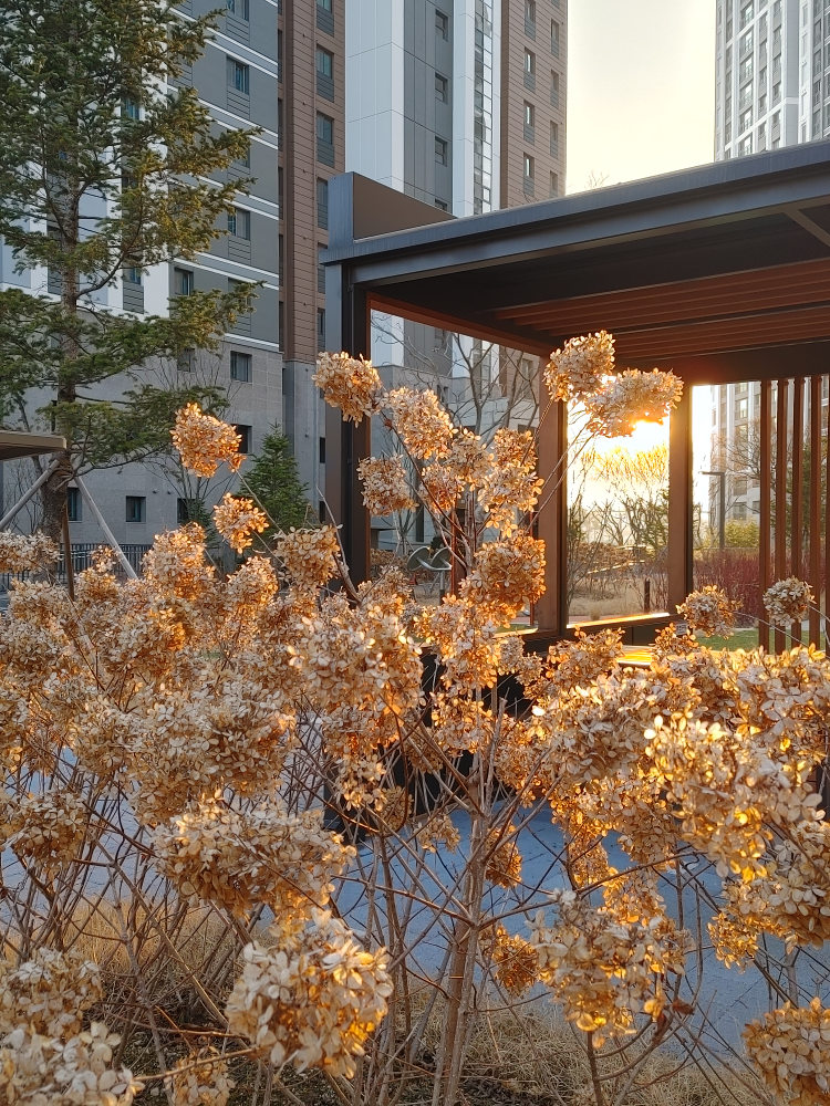 해피투게더