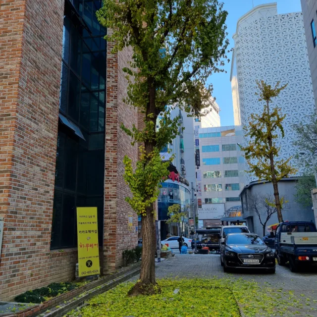 개골개골