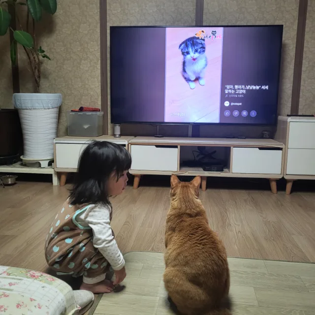 망찌맘
