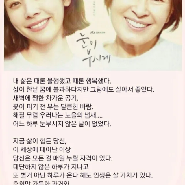 몽고메리