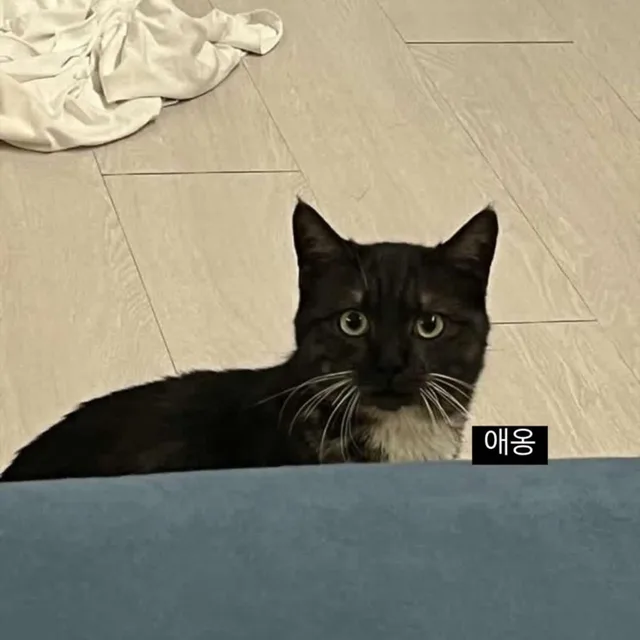 퐁퐁남