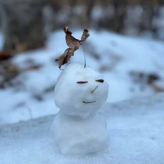 꿍쓰꿍쓰
