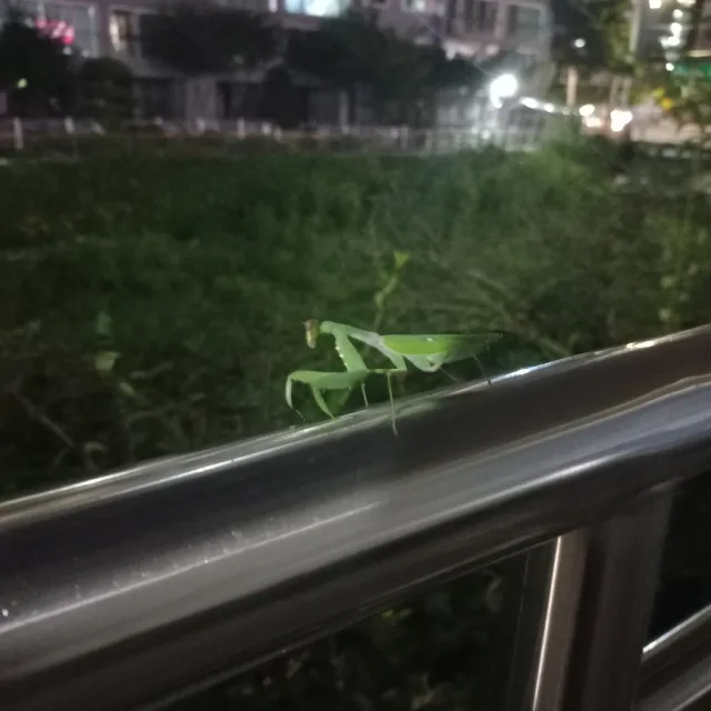 추운거참