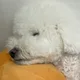 꾸르잠