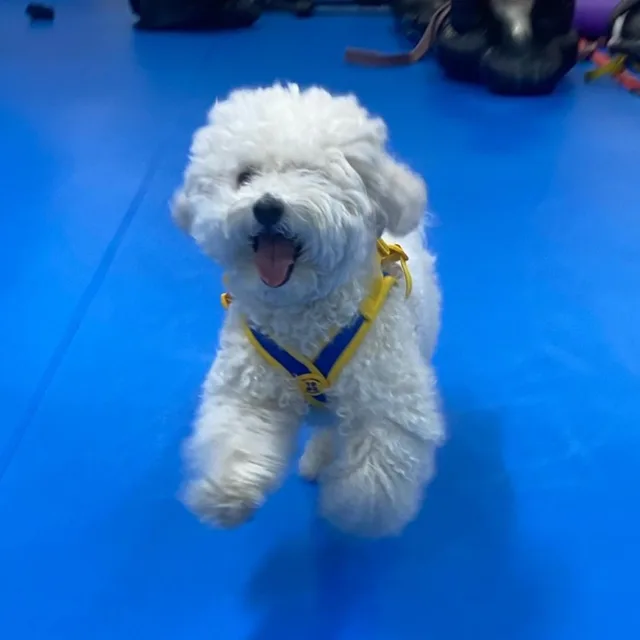 봉이눈나