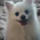 별님