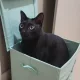 오늘내일