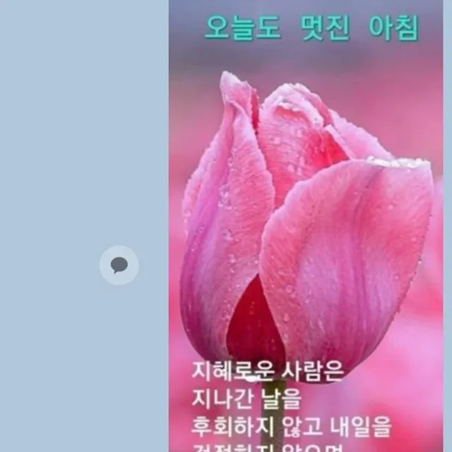 로제
