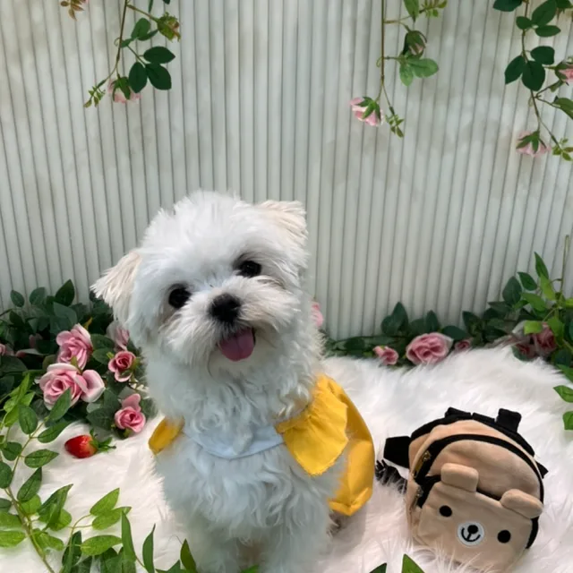 자취생