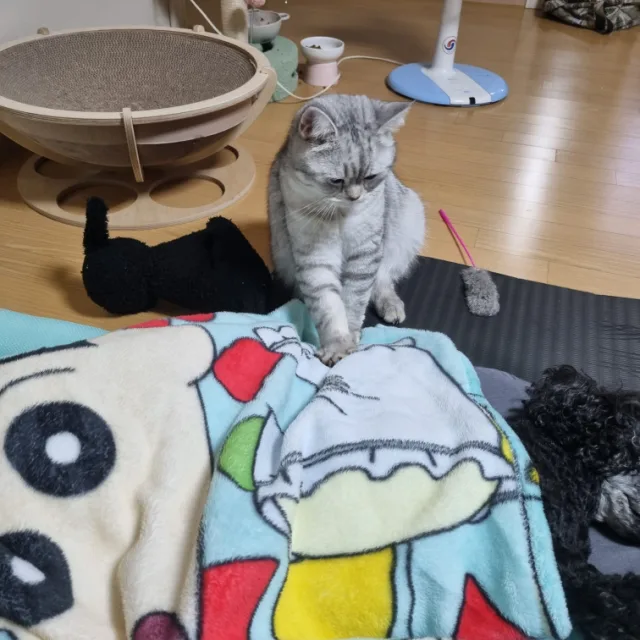 랭랭