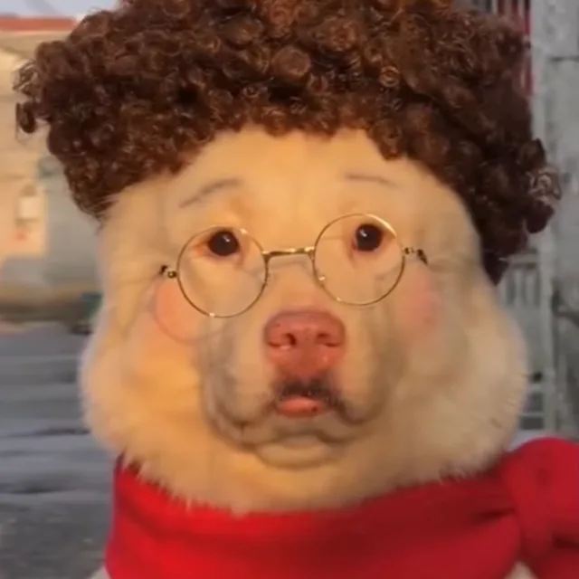 제입니다