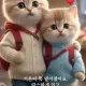 쫑이