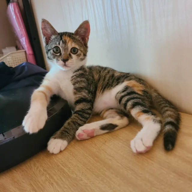 행복한시작