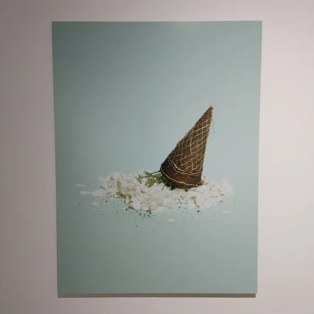 교교