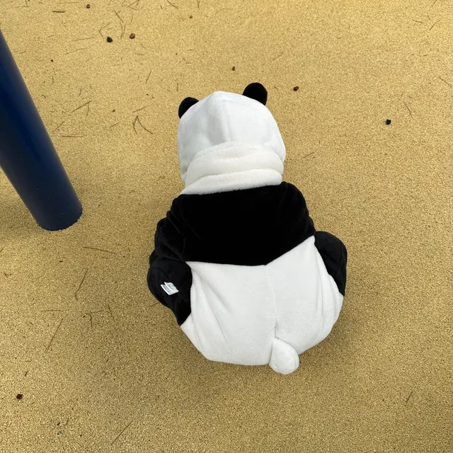 곰문도도맘
