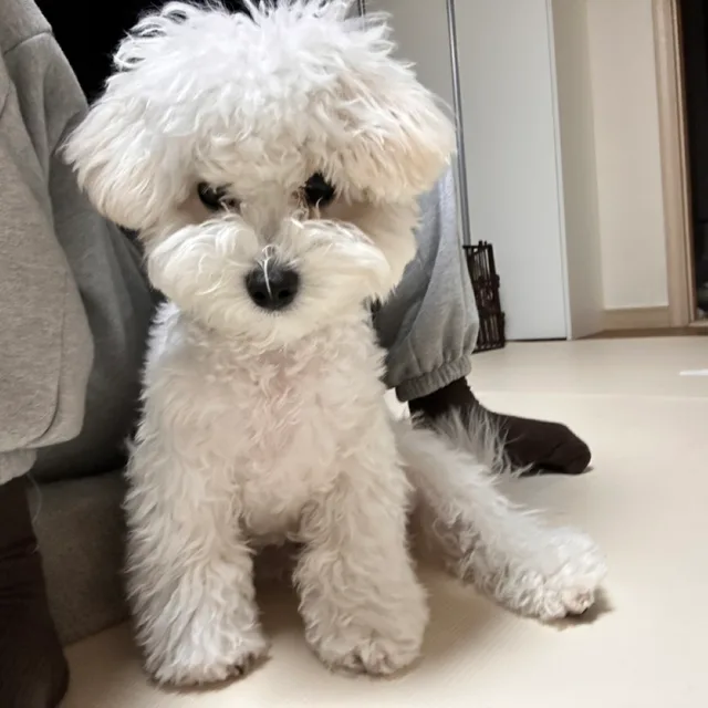 히히