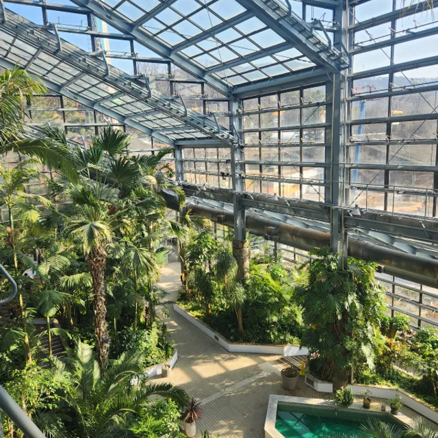 오소리