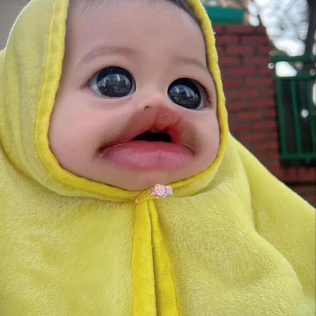 케이조조