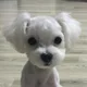 또리누나