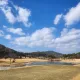 차닉