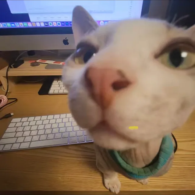 귀여운민재