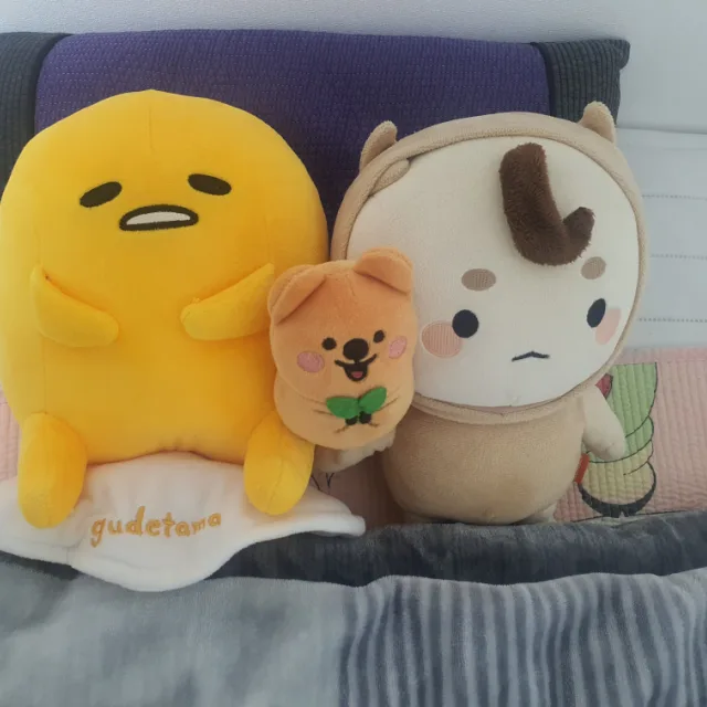 조이조이