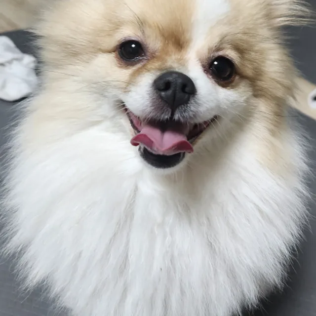 신방동