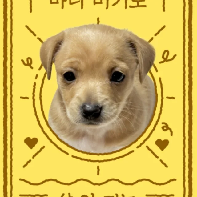 퍼플애플