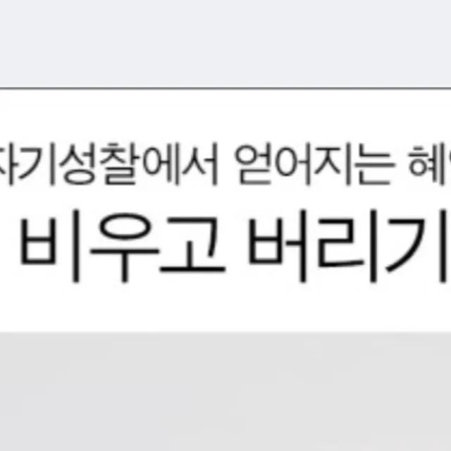 비맞는치타
